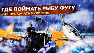 GTA5RP || 6 УРОВЕНЬ РЫБАКА || КАК ЛОВИТЬ РЫБУ ФУГУ || КАК СТАТЬ РЫБАКОМ || STRAWBERRY