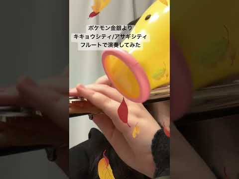 [フルート]キキョウシティ/アサギシティのBGM[演奏してみた]#ポケモン  #フルート  #ポケモン金銀 #pokemon