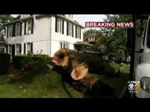 Powerful Storms Topple Trees And Knock Out Power Across - YouTube
