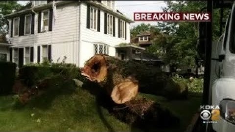 Powerful Storms Topple Trees And Knock Out Power Across