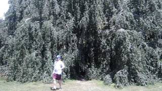 MVI_3119.AVI