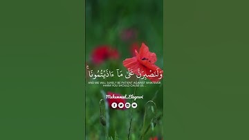 #القارئ_اسلام_صبحي #تلاوة_خاشعة