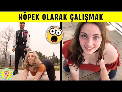 Video: Bir Köpeğin Yenmiş Olduğu En Tuhaf 20 Şey