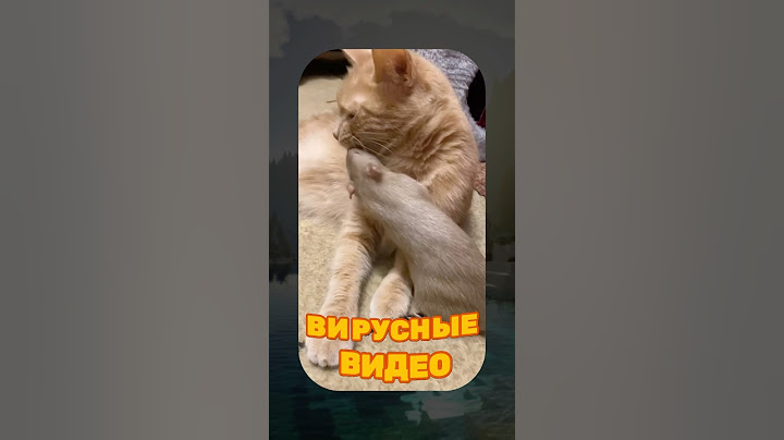 ВИРУСНЫЕ ВИДЕО / Милые животные 😆