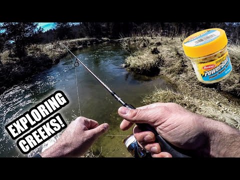 Exploring TINY Creeks for Trout (Using Berkley Power Honey Worms)