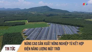 Nâng cao sản xuất nông nghiệp từ kết hợp điện năng lượng mặt trời
