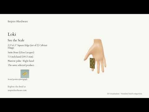 Video preview: Loki, Satin Brass (Gloss Lacquer) / 2.5"x1.5" Square Edge (set of 2)