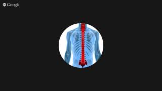 Best Chiropractor Akron OH Review
