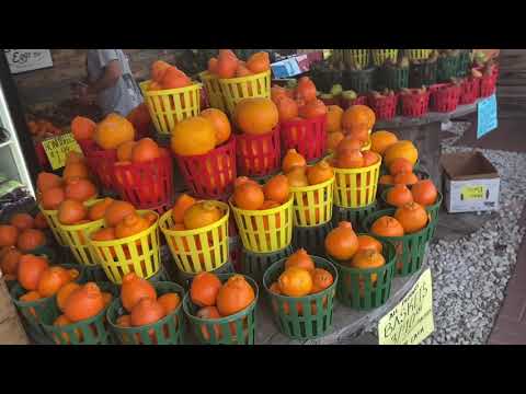 Видео: Лучшие фермерские рынки в мире