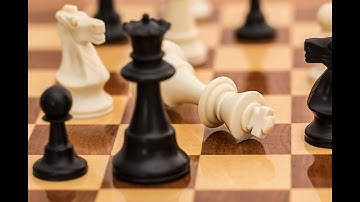 Chess Tactics || Pin Celebration