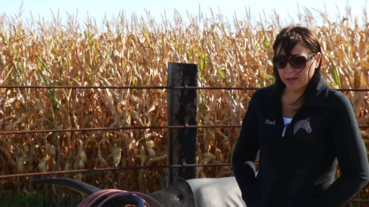 Ulen, Minnesota Family Competes In Rodeos YouTube