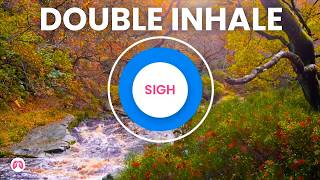 Somatic Breathing Exercise to Reduce Stress | Huberman's Physiological Sigh