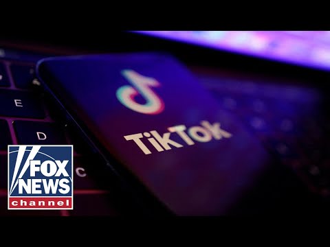 Bipartisan bill would ban tiktok nationwide 'before it's too late'