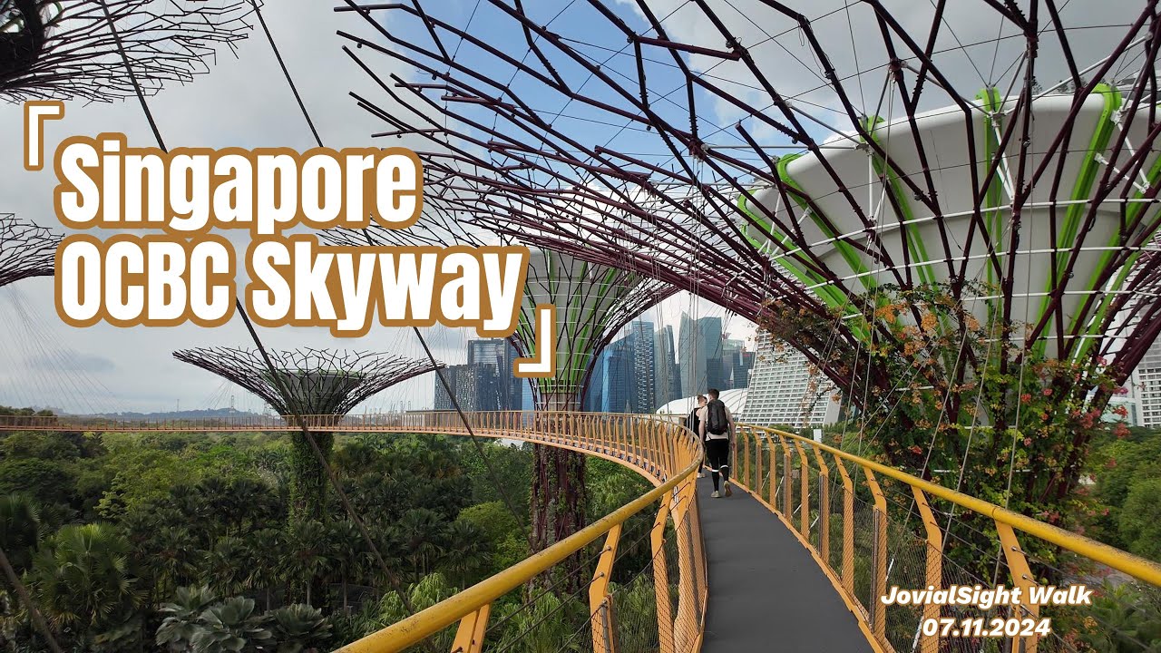 [4K 60fps] OCBC Skyway丨Singapore Walking Tour