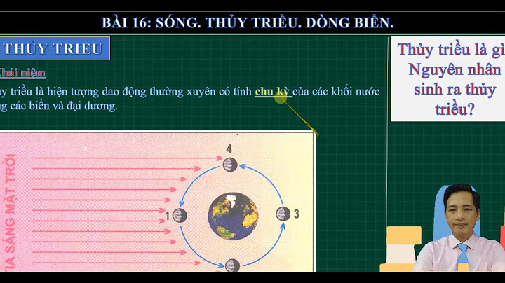 Dòng biển nóng là gì