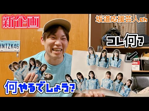 【日向坂46】新企画‼️果たしておはるは、おひさまなのか？？