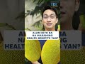 Benefits ng langka  dr dex macalintal