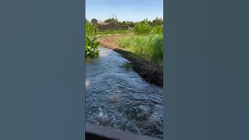 سورة الكهف نور ما بين الجمعتين 🤲🩵☘️ #سورة_الكهف #جمعة_مباركة#جمعة_طيبة #لا_تنسوا_سورة_الكهف #اكسبلور