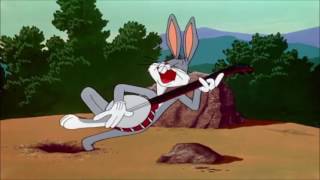 Green Day Bouncing Off The Wall: Looney Tunes