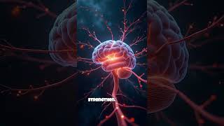 Stress and Creative Problem Blocking: How the Brain Locks the Novel Path