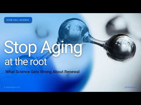 Stop Aging at the Root: What Science Gets Wrong About Renewal