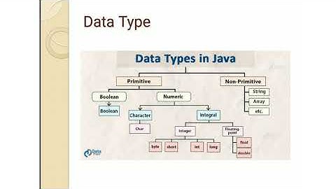 Class-9, Subject-Computer, Video-22, Chapter-Data types, variables....., Part-2 by Miss Rancy