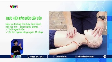Các bước sơ cứu chuẩn khi muốn cứu nạn nhân đuối nước | VTVWDB