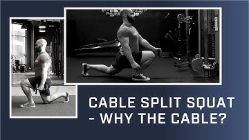 Cable Split Squat   Why The Cable?