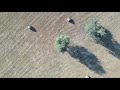 Test dji air 2s