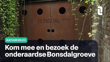 Een spoorlijn bij een ondergrondse fabriek in Berg en Terblijt | Natuur en Zo 🌿