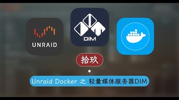 开源私人影音媒体服务 Dim —— 群晖 Unraid Docker 19