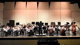 Video thumbnail of "Chamber Orchestra performs Stone Mountain Stomp"