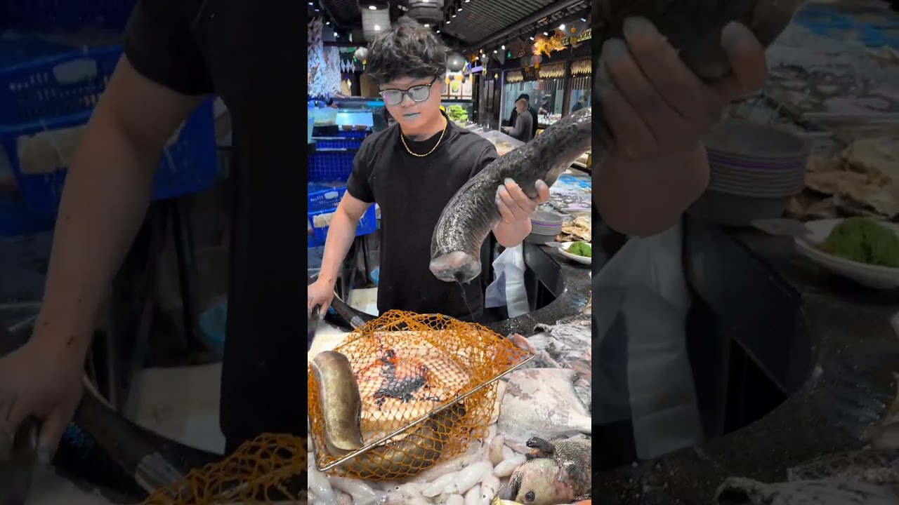 😱 Moray Eel Close Encounter | Ocean’s Hidden Predator 🐍🌊