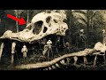 Craziest Discoveries Ever Made