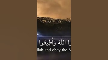 اكتب ما تؤجر عليه، وشارك الأجر🌿 #القرآن_الكريم #تلاوات  #الصلاة #اسلام #فلسطين #النصيحة #المغرب