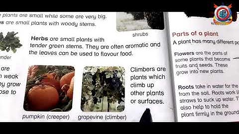 Class Two Science Unit;3 Plants & Their Parts Lecture # 12 Types of Plant
