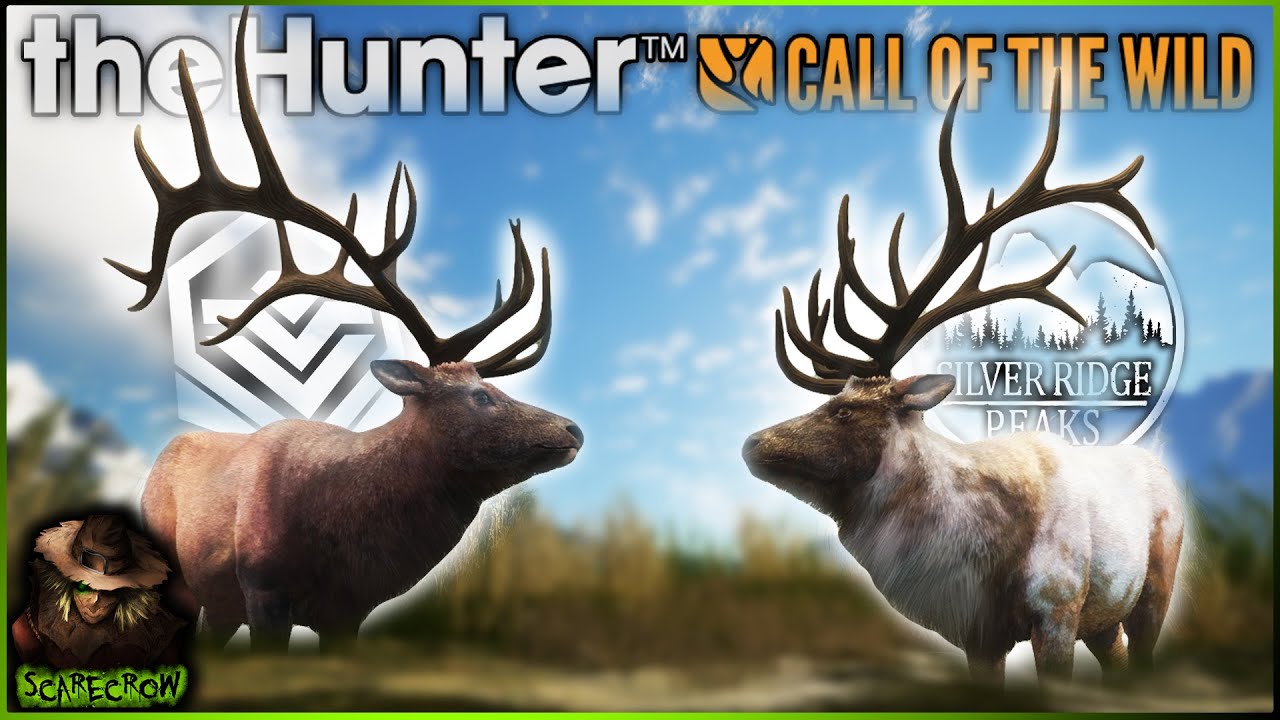 HE IS MASSIVE!!! Diamond & Piebald Rocky Mountain Elk To Start The