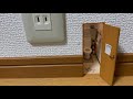 【ミニチュア】極小のトイレを壁の中に設置してみた！How to make a miniature restroom in the wall.
