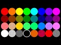 The Fantastic 31 Elimination Marble Race in Algodoo