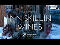 Adventures in Cooking with Inniskillin Wines
