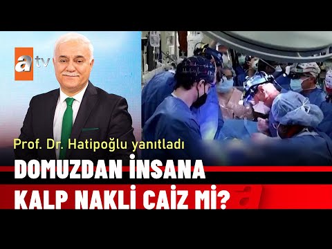 Video: Kalp ilk gelişen organ mıdır?