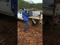 Transport tocătură crengi Cluj