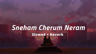 Sneham Cherum Neram | Lofi Mix | Slowed   Reverb | Ohm Shanthi Oshaana