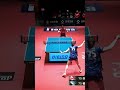 #橋本帆乃香 照井雄太が選ぶスーパープレー「もの凄いラリー!!」日本生命レッドエルフ vs 日本ペイントマレッツ ノジマTリーグ2024-2025 3月9日(日) 立命館IFP【卓球 Tリーグ公式】
