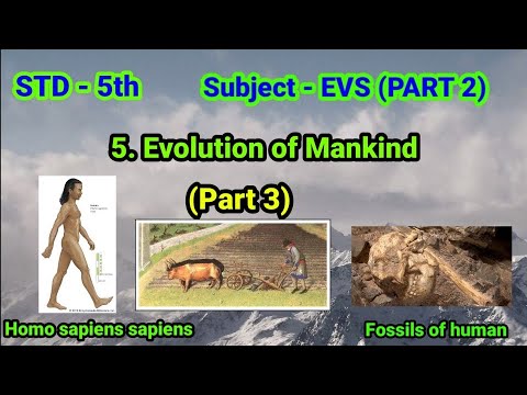 Chapter 5 Evolution Standard 5th | EVS PART 2 | Chapter 5 Evolution of Mankind (part 3 ...