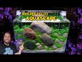 Super simple totally affordable aquascape tutorial
