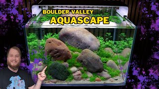 Super simple, totally affordable aquascape tutorial.