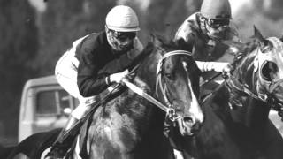 2016 Preseason Pass #1: Trooper Seven