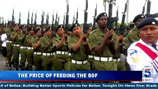 The Price of Feeding the BDF screenshot 2