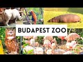 BUDAPEST ZOO | Budapest, Hungary | What to see 2021